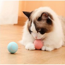 스마트 셀프 무빙 캣볼 고양이 장난감 반려묘 강아지 반려견 동물 놀이 저소음 실내 공놀이 [와치댓], 핑크