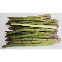 국내산 제주 아스파라거스 1kg, 4번크기 1kg(중)