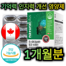 기억력 인지력 개선 포스파티딜세린 징코 영양제 60캡슐 1개월분 은행잎 추출물 항산화 피부 건강 보습 혈행 비타민 E 아연 플라보놀 노인 어르신 부모님 중년 주부 선물 추천, 60캡슐 / 1개월분