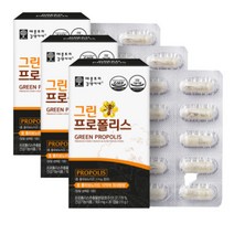그린 프로폴리스 플라보노이드 식물성캡슐 온가족 목이 칼칼할때 면역기능 항산화 호주산, 3개 (3개월분), 30캡슐