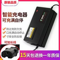 자동차배터리 레이싱 비둘기 전기 배터리 자동차 납산 배터리 충전기 고전력 48V12 20AH60V72 볼트 84V96V 자동차배터리, 24. [비둘기 경주] 96V40-50AH T자형 3구