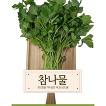신선따옴 국내산 참나물 1/2/4kg <아이스박스 무료배송>, 1kg, 1개” class=”wr-img”></a></div></div></div></div><div class=