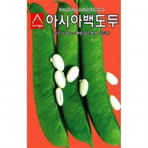 아시아종묘 도두콩씨앗종자 아시아 백도두 작두콩(500g), 선택완료