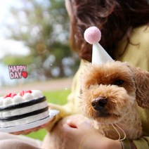 소소펫토리 캔디팝 강아지 생일모자 고양이 파티 고깔 핸드메이드 파티햇 제작, 화이트핑크