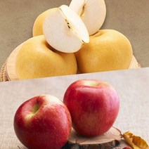 후레쉬앤푸드 사과배혼합실속세트 10kg 나주배 5kg + 함양꿀부사 5kg, 없음