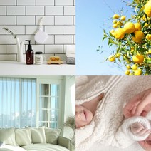 캔들마노 [ 100ml ] 프래그런스오일 500여가지 (1~200) 캔들향 디퓨저향 석고방향제향 향기오일, 135. 볼케이노