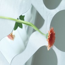 감성 분위기 아크릴 거울 촬영 소품 6type [어폼 미러 촬영소품 깨지지않는 안전거울 원 아치 육각형 쇼핑몰 스튜디오 사진 배경 인테리어 아이템], 강낭콩