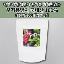 꾸지뽕잎 추출물 구지뽕 꾸지뽕 뿌리 열매 잎 뽕잎 줄기 꾸지뽕잎차 약초 약재 암 나무 껍질 효능 국산 국내산 침출차 대용량 건강 좋은 카페인없는 차 티 티백 100개입, 1개