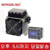 한영넉스 HSR-3D204Z 삼상 무접점릴레이 3P 20A 고압용 DC, 1개