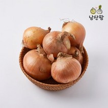 남산 황토양파10kg 왕특+특, 양파 10kg 왕특+특