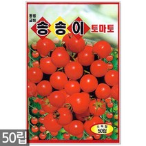 노랑 당근 씨앗 2000립 - 씨 당근씨앗 당근씨 노란색당근 노랑당근씨앗 노란당근 주말농장 텃밭, 09_송송이방울토마토(50립)