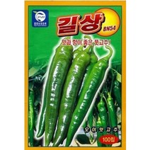 오이맛 길상고추 씨앗(100립)(A0194)