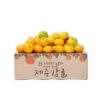 제주 햇 감귤 고당도 제철과일, 1box, 9kg 프리미엄과