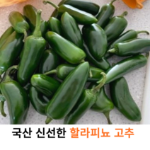 국내산 최상급 싱싱한 할라피뇨 고추 3kg 5kg 10kg 국산 할라피뇨 생고추 매운고추 피클용 가정용 업소용 대용량, 1개