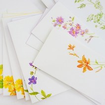 제이트리늘봄 들꽃 돈봉투 6종 상품권 디자인 심플편지 편지지 용봉투 예쁜 종이 이편지 부모님용 님용+jaytreㄷ, 선택_6.노랑어리연꽃