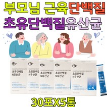 시니어 건강식품 초유단백질 lgG 면역글로불린 가세리 유산균 노인 부스터 운동 전후 비타민 아연 스틱 타입하루 1포로 채우는 영양 근육 초유분말 가루 파우더 22종 혼합유산균