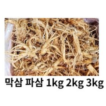 수삼 파삼 막삼 가정용 인삼 파삼 1kg 못생긴인삼 막삼 대용량, 파삼1kg, 1개