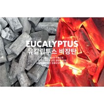 비장탄 유칼립 참숯 백탄 차콜 바베큐숯 캠핑숯 고기숯, S