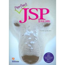PERFECT JSP 웹프로그래밍, 인피니티북스