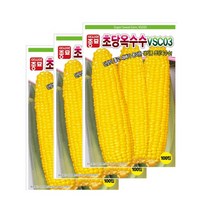 옥수수종자씨앗)초당옥수수(VSC-03)(100립×3) S2582