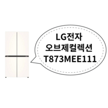 LG전자 LG 디오스 냉장고 T873MEE111 배송무료