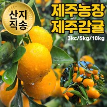 제주농장 서귀포 남원 노지 감귤, 제주감귤 3kg 혼합과(2s~m)