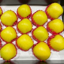 시나노골드 황금 사과 2kg 3kg 5kg 명절 선물세트, (실속 추석 선물세트) (11-13과) 개별포장 5kg, 1박스