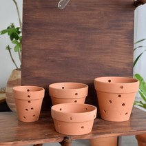 난초 행잉토분 타공화분 13x13cm 표준형 애완식물