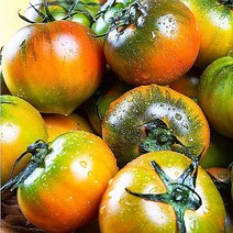 산지직송 부산 최상급 프리미엄 고당도 대저 짭짤이 토마토, 2kg