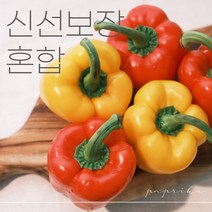 [더조은] 파프리카 혼합 빨강 노랑 못난이 파프리카 1kg 2kg 3kg 5kg, 혼합 5kg