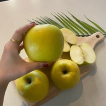 시나노 골드사과 스위트 홍로 경북 황금사과 5kg, 1개, 정품 5kg(꼬마과25~28개)