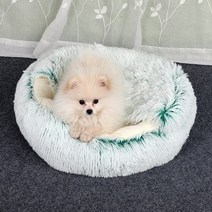 강아지방음부스 길고양이집 원목강아지집겨울 2 In 1 고양이 침대 라운드 따뜻한 애완 동물 집 긴 봉제 개, 01 Green_03 50cm