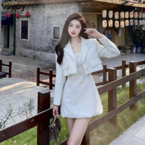 vsyoy 사교계 치마 하이 센스 정장 봄과 가을 새로운 여신 팬 드레스 정장 재킷 투피스 세트