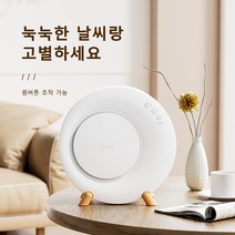 Ryusei 제습기 가정용 제습기 1L 대용량 탈취 가능 스마트 정온 무드등 저소음 원룸 화장실 욕실 옷장 다용도 소형 제습기 5028, 화이트, 1개