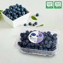 [충북청주] 별빛담은 무농약 블루베리(생) 1kg16~17mm대, 단품