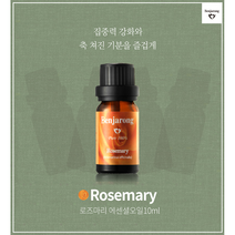 로즈마리 10ml 집중력강화 기분상승 졸음운전 방지 - 축져진 기분을 즐겁게 - 벤자롱 천연 아로마 퓨어 100% 에센셜 오일