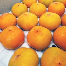 [엄지척농산물] 지금 수확! 달콤한 청도반시 홍시 연시, 2kg 소과(24과 내외), 1개