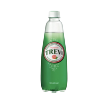 트레비 롯데칠성음료 자몽, 18개, 500ml