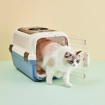 릿첼 캠핑캐리 더블도어 애견 강아지 고양이 켄넬 이동가방 이동장 케이지 캐리어, 코발트블루