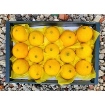 제주 감귤 황금향 제철 하우스 가정용 선물세트, 1개, 명품선물세트, 황금향 선물용 3kg 5-15과 (부직포포장)