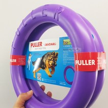 풀러 독토이 강아지 장난감 미니 2p, 1세트