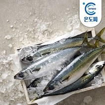 [온도씨]제주 고등어 5kg (대30팩팩당165g내외), 단품