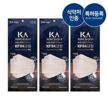 [닥터김스] 식약처인증 KF94 비말 차단 마스크 국내생산 대형 10매, KF94덴탈마스크10매