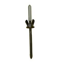 Simpson Strong Tie SPS25344-KT Storm Panel Screw 302 Stainless Steel 25 Screws Wing Nuts and Caps, 1