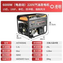 소형 발전기 가정용 태양광 무소음 자가 캠핑 풍력 휴대용 전기 비상 태양전지판, 6000W(전기 시동) 220V 가솔린 발전기