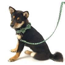 강아지 고양이 당초리본 목걸이 반려동물 악세사리 훈련 산책 교육용, 네이비, 리드줄, free