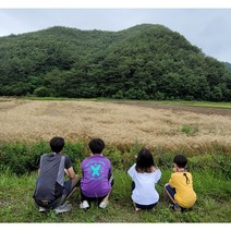 유기농밀가루 [지리산우리밀] 앉은키백밀가루/통밀가루, 앉은키통밀가루 1kg
