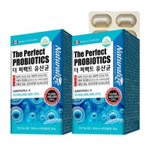 건강을더하다 더 퍼펙트 유산균17종 모유유산균 식물성 캡슐 프로바이오틱스, 120캡슐, 500mg