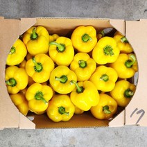 야채24닷컴 못난이 노랑 파프리카 500g, 1개