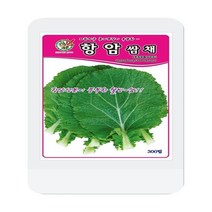 항암쌈채씨 100립 항암쌈채 씨앗 대장 제일종묘 오스템바이오